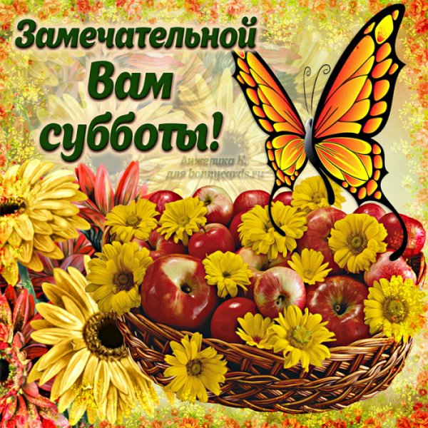 Доброго субботнего дня