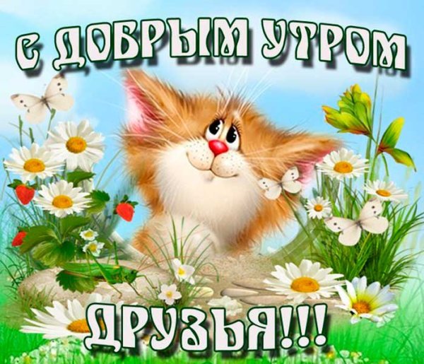 Веселые открытки с добрым утром