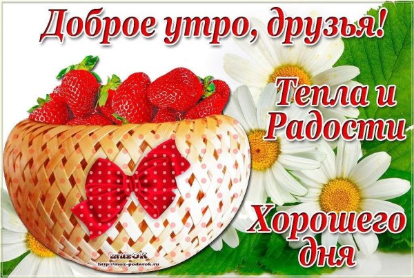 Доброе субботнее летнее утречко