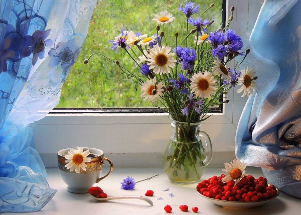 Светлого утра