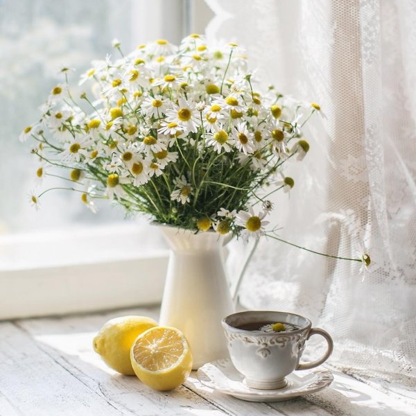 Доброе солнечное утро на море