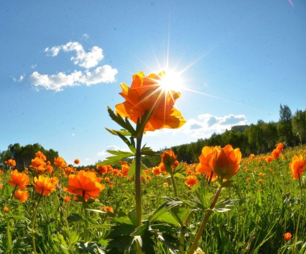 Радостных дней и прекрасных мгновений