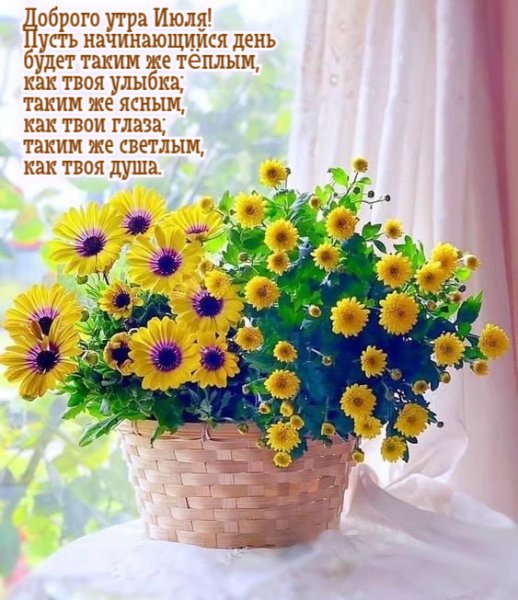 Солнечного дня и отличного настроения