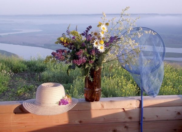 Солнышка в душе