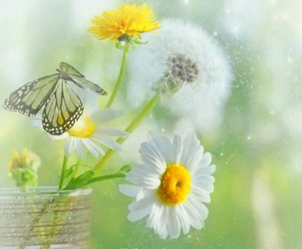 Доброе летнее солнечное утро субботы