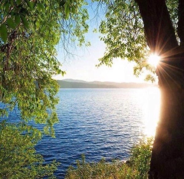 Летний пейзаж вертикальный