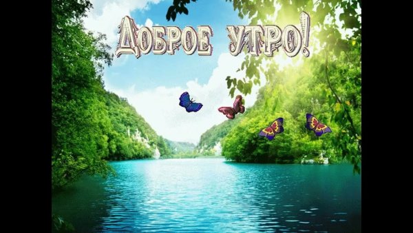 Открытки с добрым утром с природой