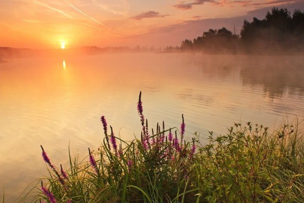 Нежный рассвет