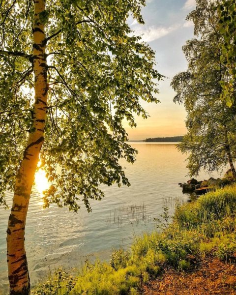 Утренняя рыбалка