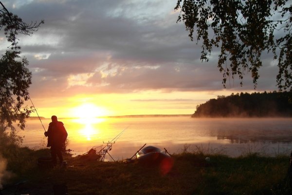 Летнее утро на реке
