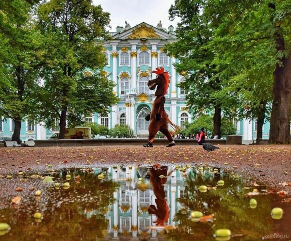 Веселый Питер