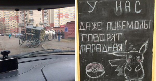 Смешные истории в Петербурга