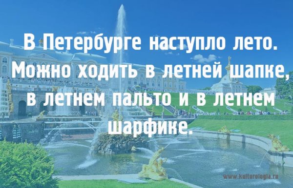 Прикольные высказывания про Питер