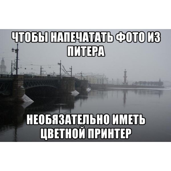 Приколы про Питер