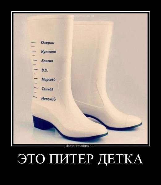 Приколы про Питер