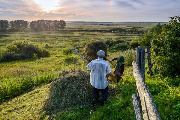 Деревня поле сенокос