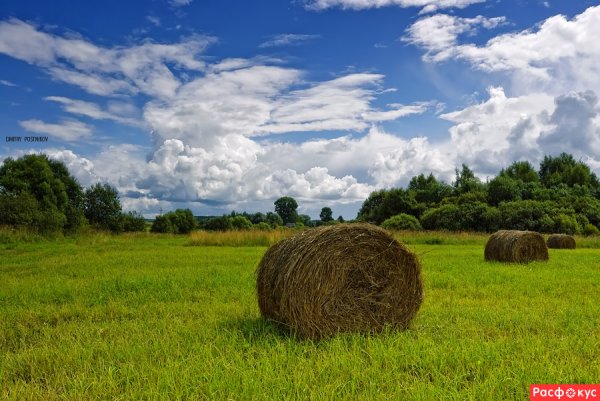 Июль сенокос деревня