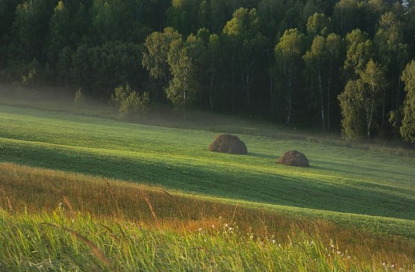Сенокос Карелия