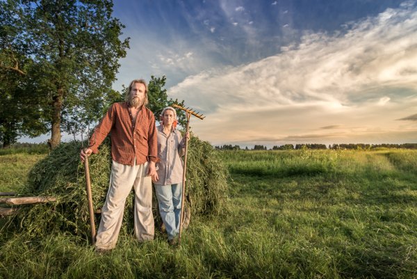 Июль сенокос деревня