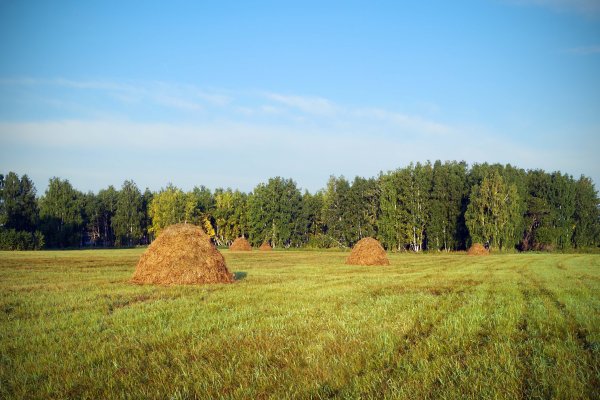 Сенная копна