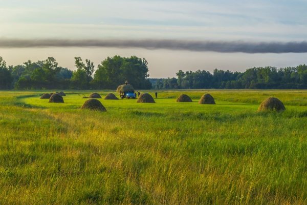 Деревня поле сенокос
