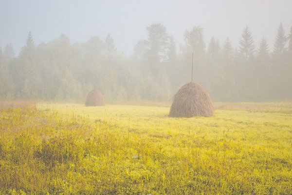 Шишкин стога сена