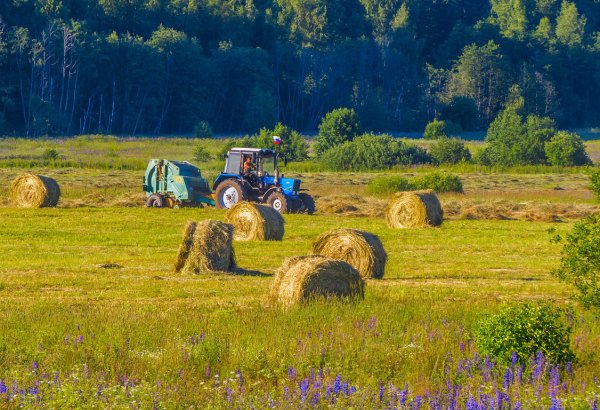 Эдуард Панов сенокос