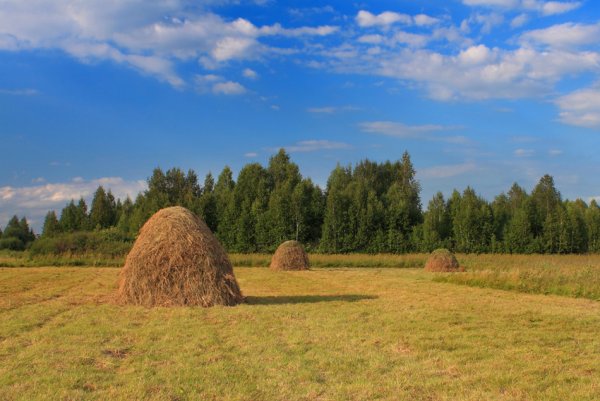 Псков стога