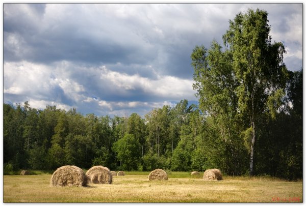 Сенокосная страда