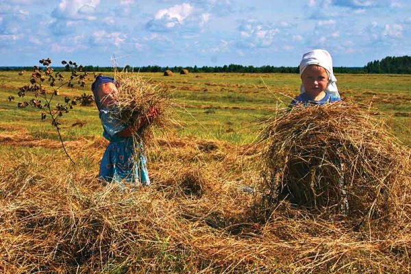 Деревня 1990 сенокос