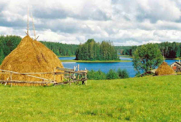 Владимир Жданов живопись сенокос