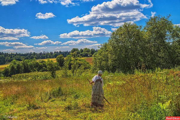 Деревня поле сенокос