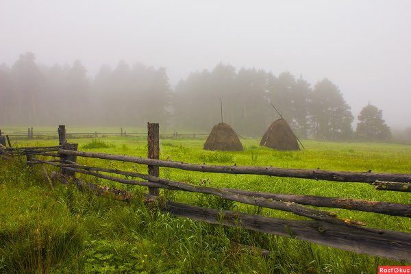 Эвелина сенокос