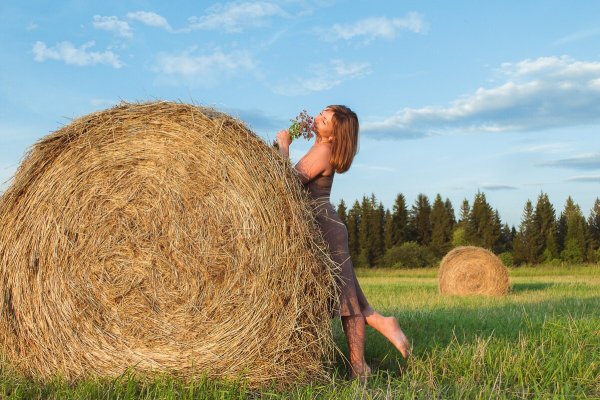 Сенокос в деревне