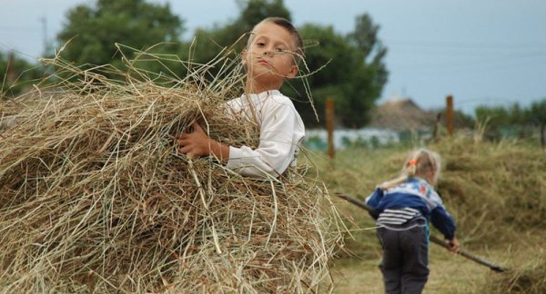 Деревня 1990 сенокос