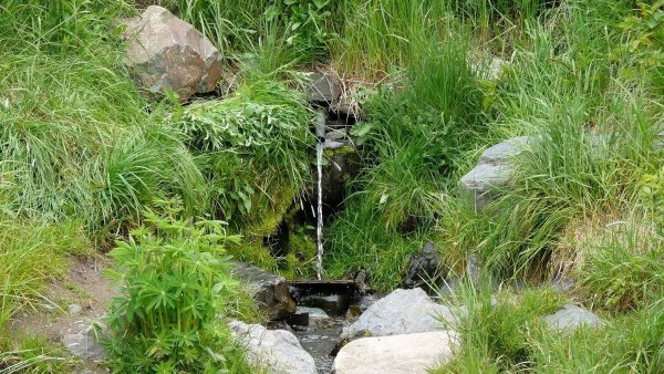 Родник с ключевой водой