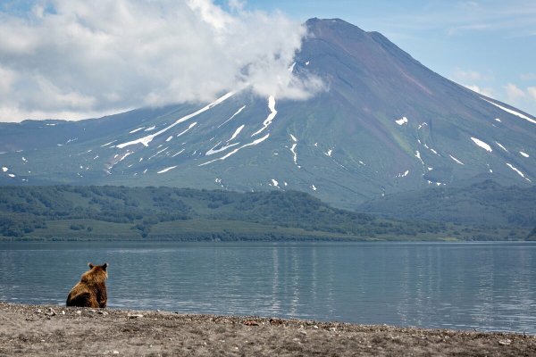 Кроноцкий заповедник Камчатский край