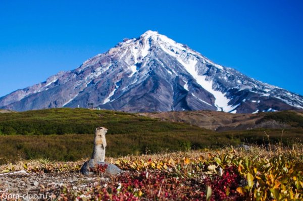 Вулкан Корякский Вачкажец