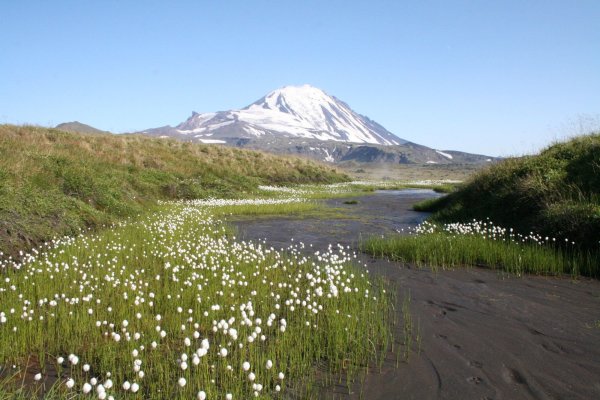 Камчатский край природа