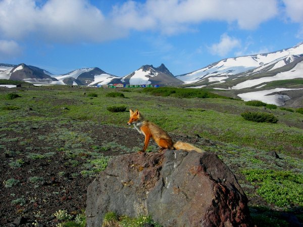 Дальний Восток полуостров Камчатка