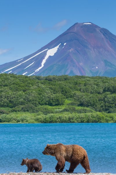Кроноцкий заповедник Елизово
