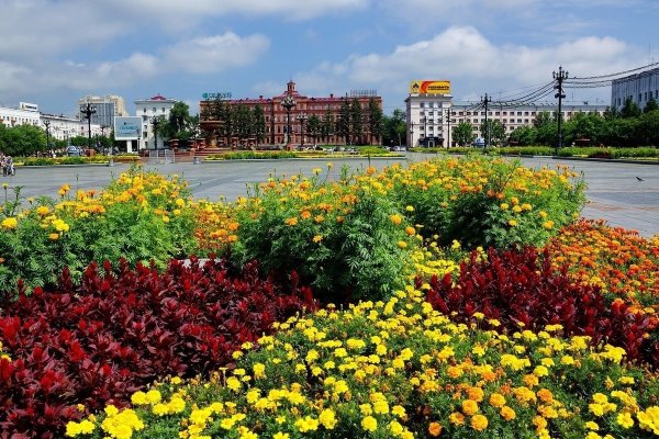 Хабаровск лето