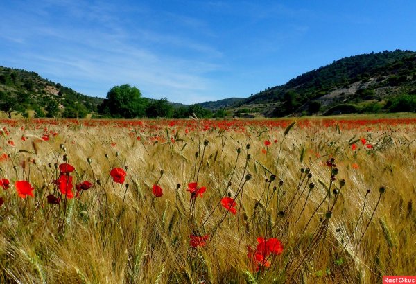 Путешествие в Барселону