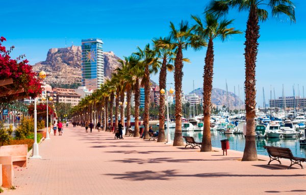 Андалусия Севилья в цвету