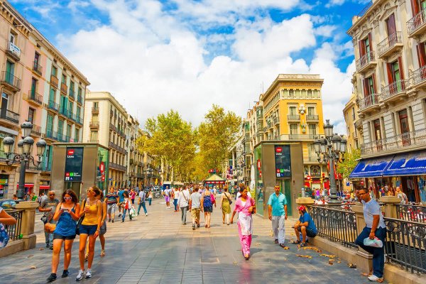 Маковые поля в Испании