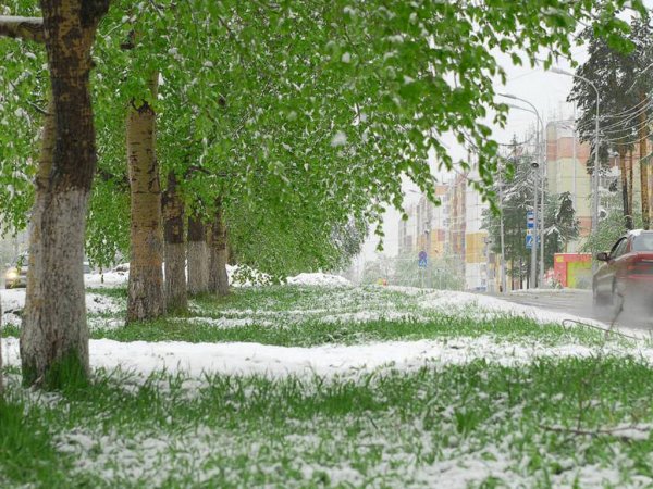 Летний снег