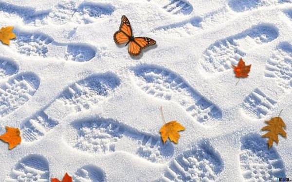 Зимние погодные явления для детей