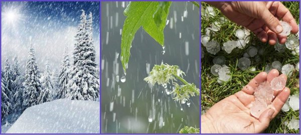 Хождение босиком закаливание