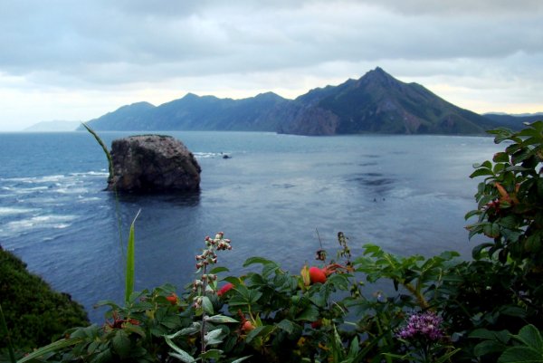 Остров Сахалин природа