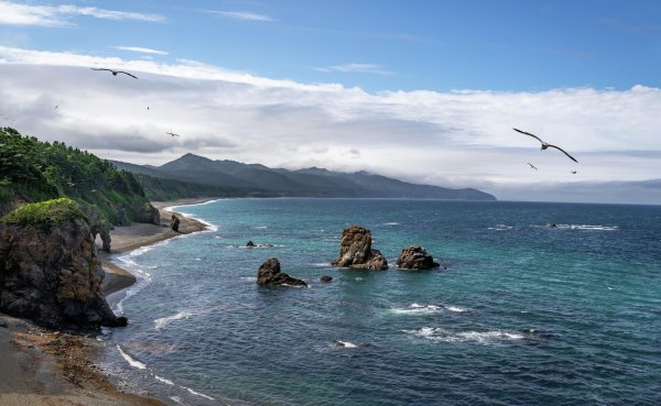 Мыс птичий Сахалин